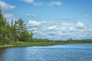 Lake of the Woods View