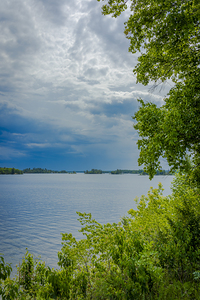 Lake of the Woods Shore