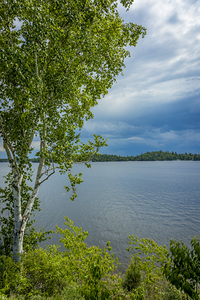 Lake of the Woods Shore