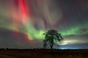 Northern Lights Dance