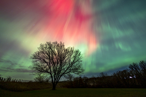 Cosmic Flames by Marc Gilbert Photography
