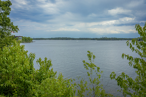 Lake of the Woods Shore