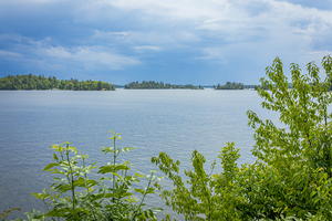 Lake of the Woods View