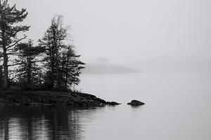 Fog on the Lake