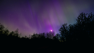 Aurora and Moonlight over the Canopy