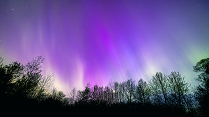Northern Lights Above the Canopy
