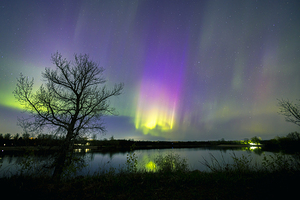 Comet Fall Aurora by lone Tree