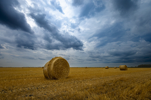 Hay Bales Under a Cloudy Sky