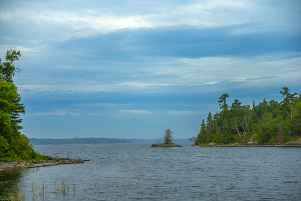 Whispers of Water Print