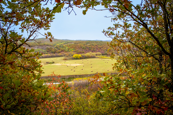 Pembina Valley Print