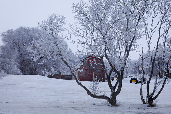 Hoarfrost Morning Over a Red Barn Print