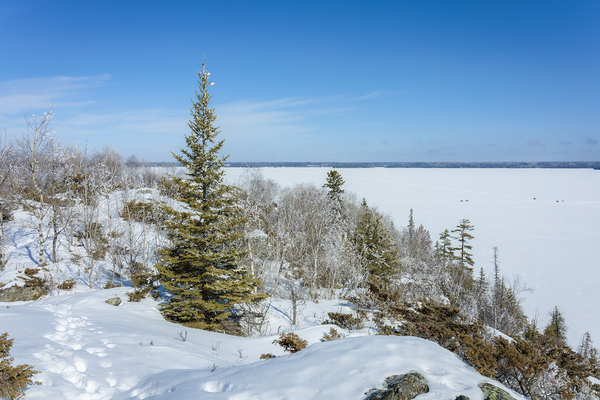 Winter Ridge Vista Print