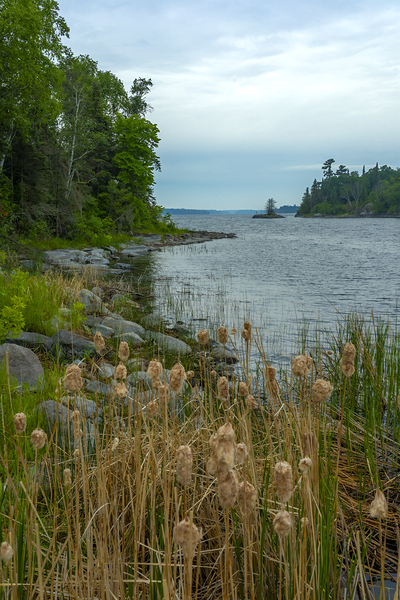 Morning on Shoal Lake Print