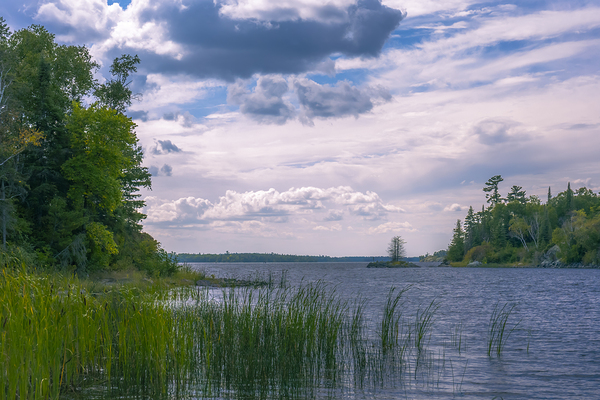 Serene Solitude Print