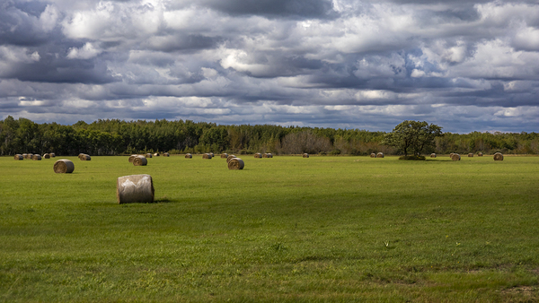 Haybales Under a Cloudy Sky Print