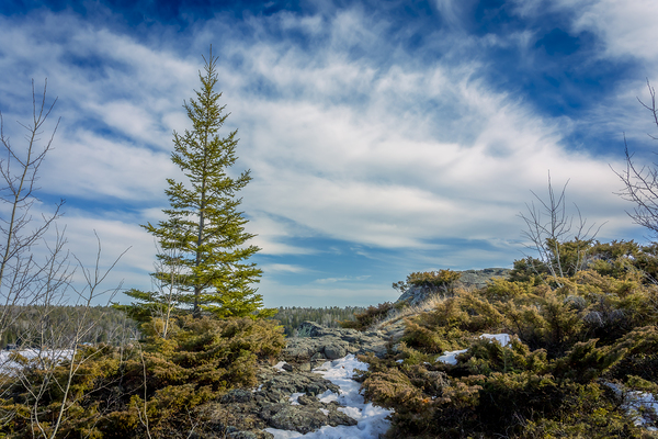 Dragon Fire Trail Print