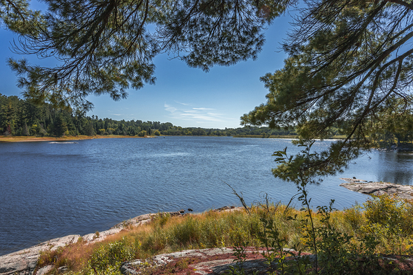 Tunnel Island Trail Print