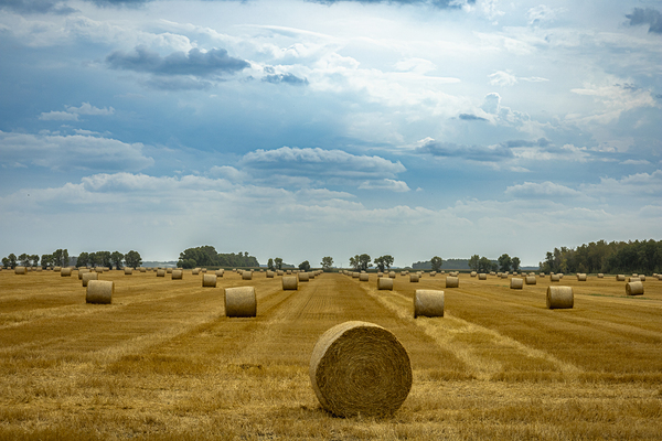 Hay Bales Under a Cloudy Sky Print