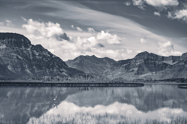 Reflections of Tranquility Print