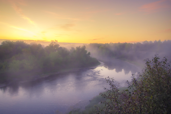 Foggy Sunrise on the Roseau River Print