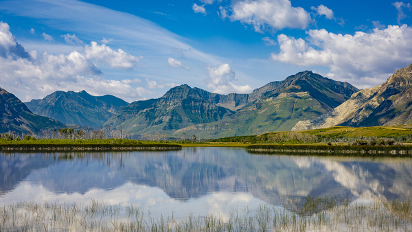 At the Base of the Rockies Print