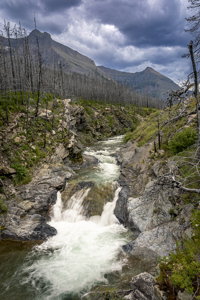Blackiston Falls Print