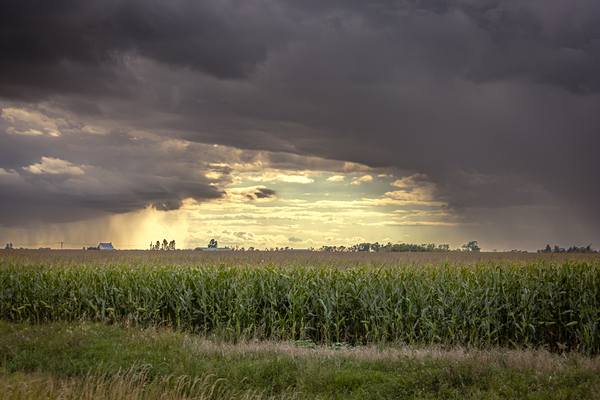 Archway of Light Print