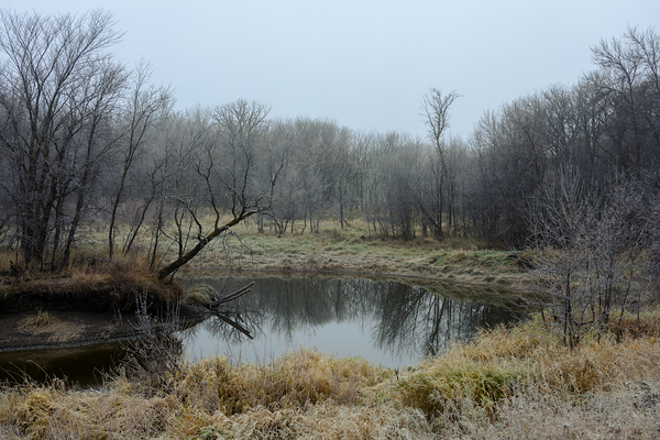 Fog by the River Print