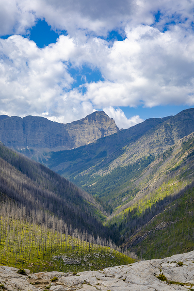 The Mountains of Waterton Print