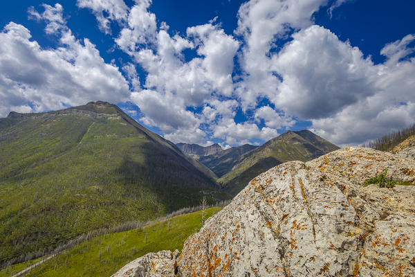 Mountains of Waterton Print