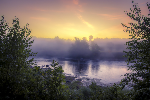 Foggy Sunrise on the Roseau River Print