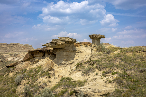 Natures Sculpted Wonders Print