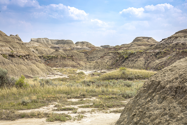 Into the Badlands Print