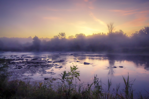 Foggy Sunrise on the Roseau River Print