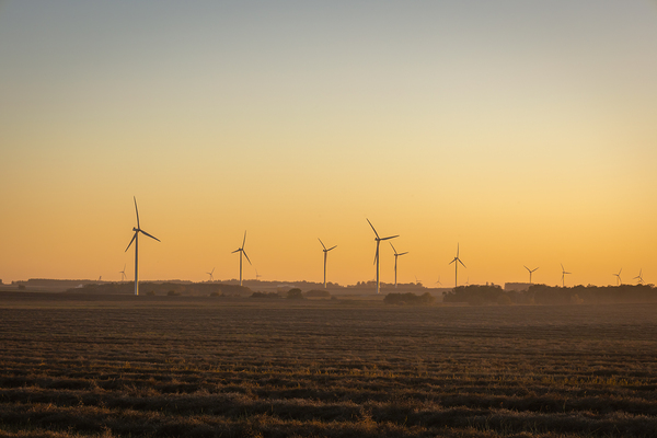 Wind Turbines at Sunset Print