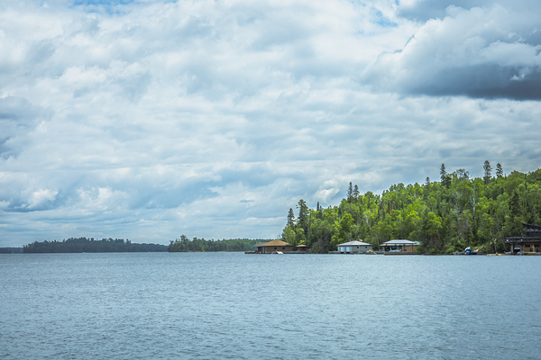 Lake of the Woods View Print