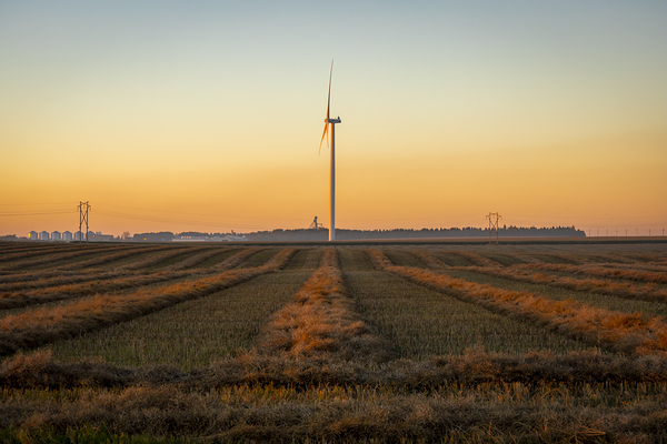 Wind Turbines at Sunset Print