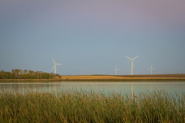 Wind Turbines Reflection Print