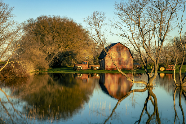 Reflections of Rural Life Print