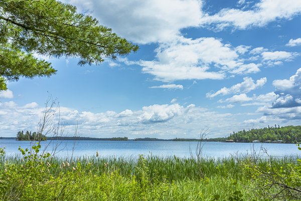 Lake of the Woods View Print