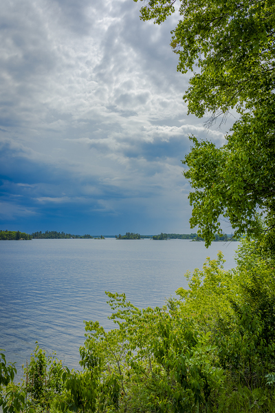 Lake of the Woods Shore Print