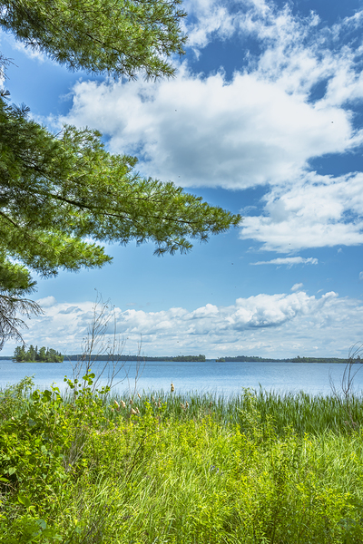 Lake of the Woods View Print