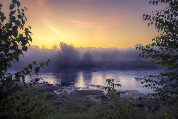 Foggy Sunrise on the Roseau River Print