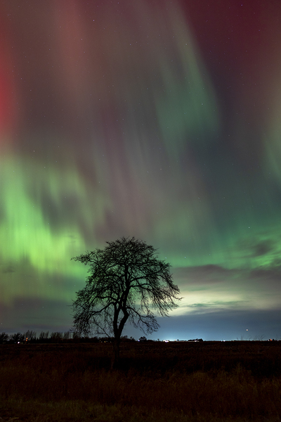 Northern Lights Dance Print