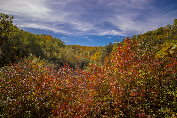 Pembina Valley Print