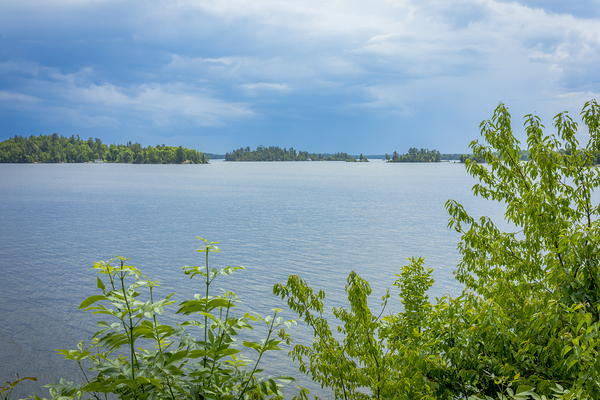 Lake of the Woods View Print