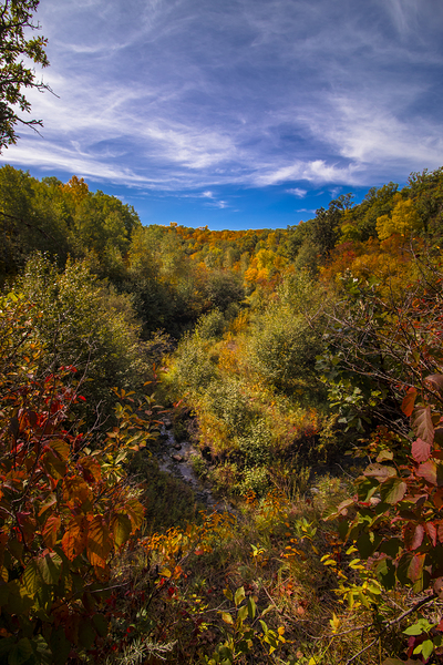 Pembina Valley Print