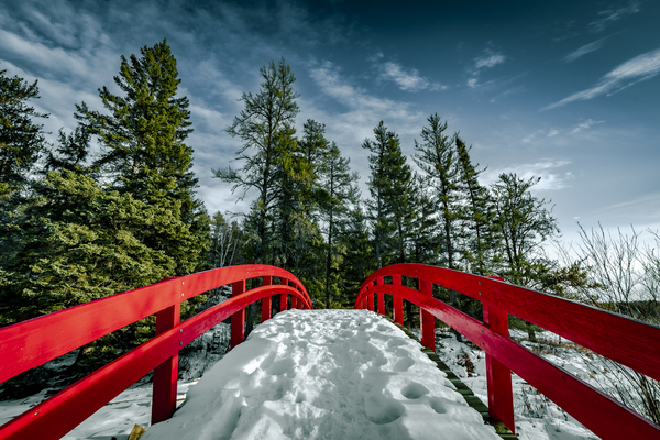 Red Bridge in Snow Print