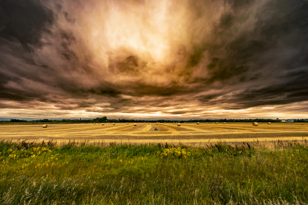 Harvestpocalypse Print