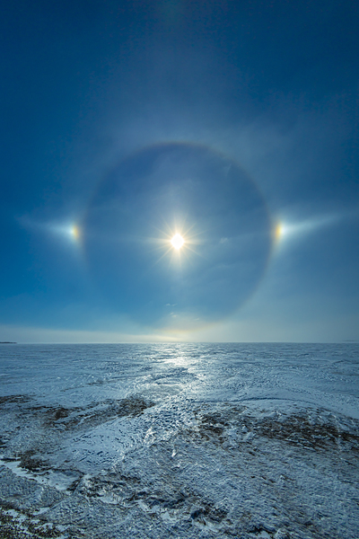 Sundog on Ice Print